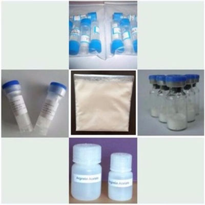 factory supply anti-aging white peptide powder Palmitoyl Tripepitde-5 SYN-COLL