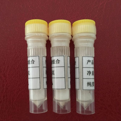 White color Thymulin,Thymalin Bi Peptide (Synthetic Thymalin),cas 63958-90-7