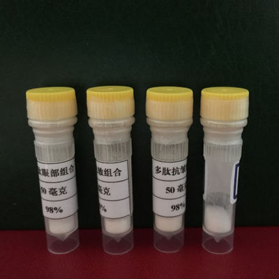 Custom peptide white color (Lys1015·1024)-Thrombospondin-1 (1015-1024) (human, bovine, mouse)