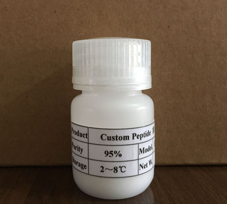Chemical service white color high purity  ACTH (11-24)  / 4237-93-8 with refund policy