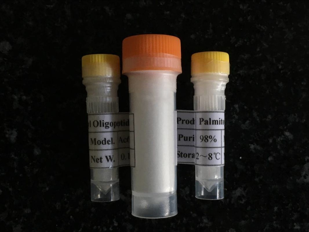 White color Pentadecapeptide bpc-157 for bodybuilding purpose in pahrm grade  from Chinese factory